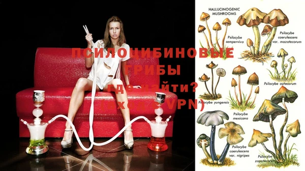 экстази Алзамай