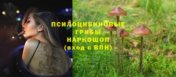 экстази Алексин