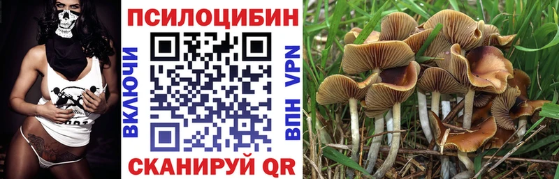 закладки  Суджа  darknet как зайти  Галлюциногенные грибы Magic Shrooms  мега ссылка 