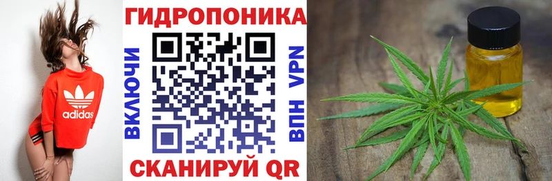 Шишки марихуана SATIVA & INDICA  где найти наркотики  нарко площадка как зайти  Суджа 